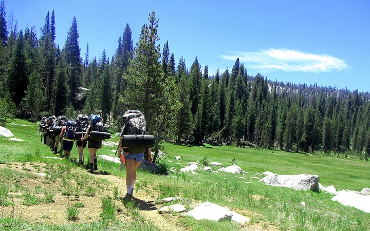 A group of people wearing backpacks hike away from the camera toward a line of evergreen trees. 