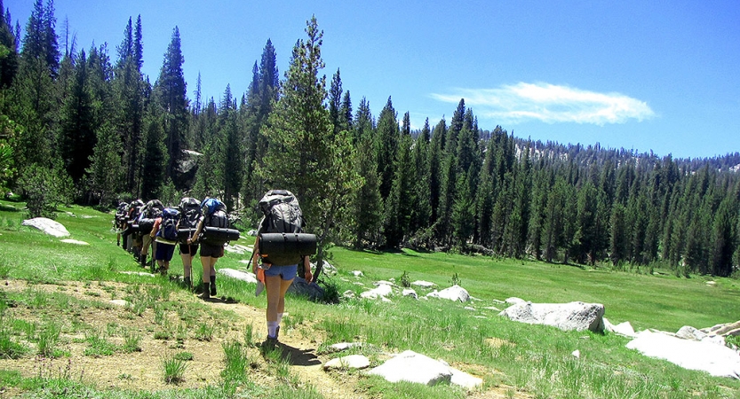 A group of people wearing backpacks hike away from the camera toward a line of evergreen trees. 