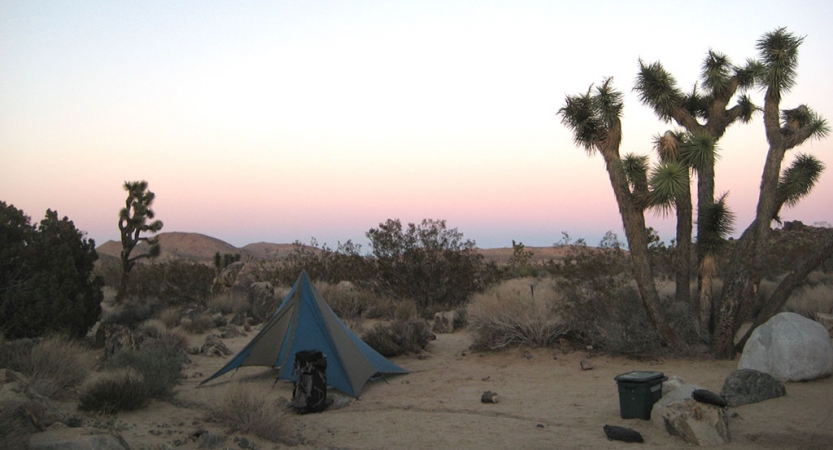 The sun rises or sets behind a campsite in Joshua Tree National park. The sky appears in colors of blue, yellow, pink and purple. 