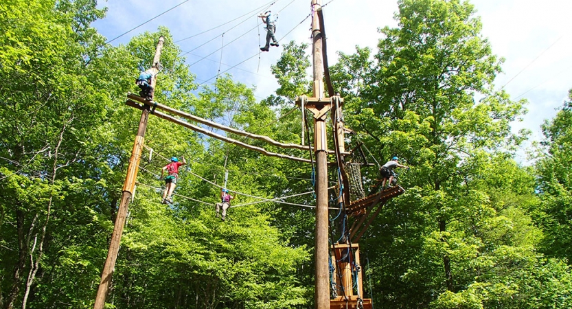 From the ground looking up, a group of people wearing safety gear make their way through high ropes course amongst tall green trees.
